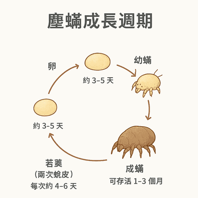 阿國